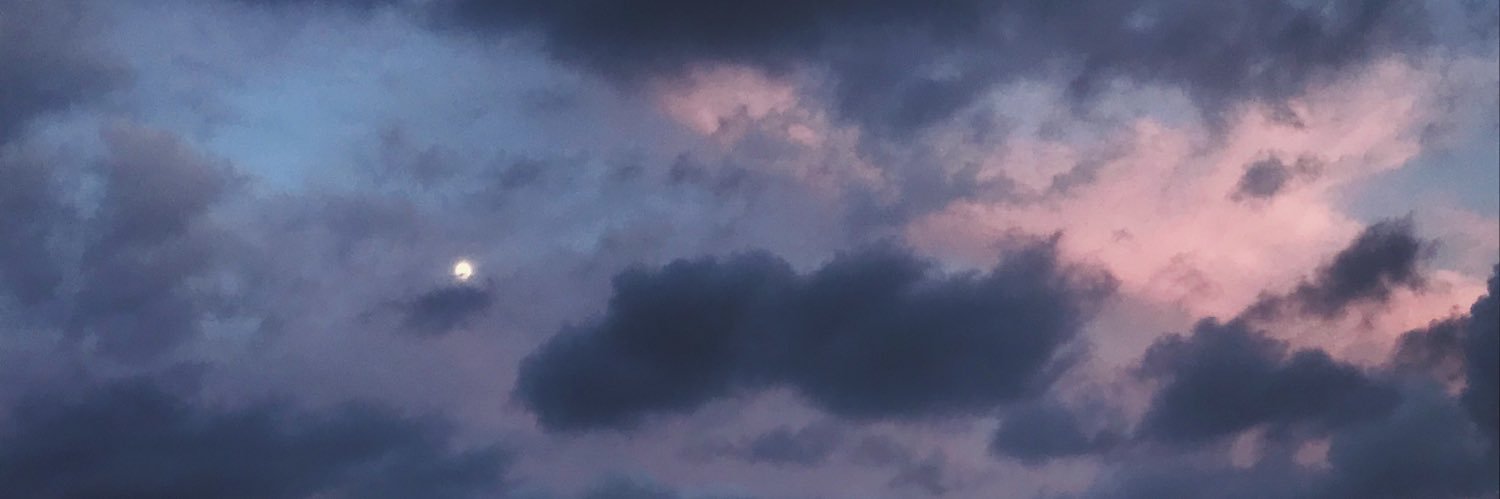 Pau Albert banner