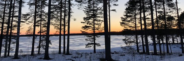 MikkoWRC Profile Banner