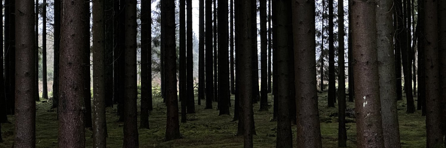 HSVeil's profile banner image