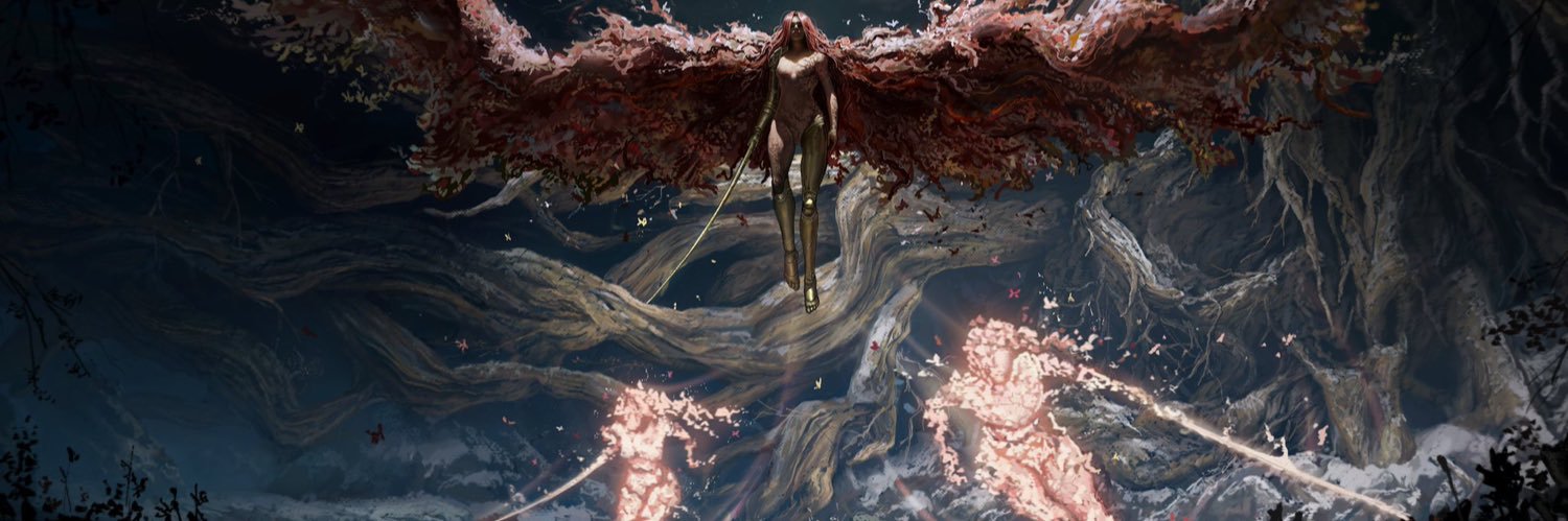 Raiden🇸🇳 banner