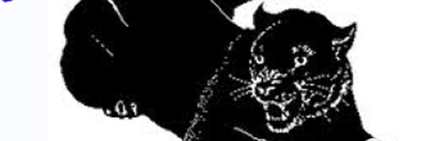 5thPlanoPeeps's profile banner image