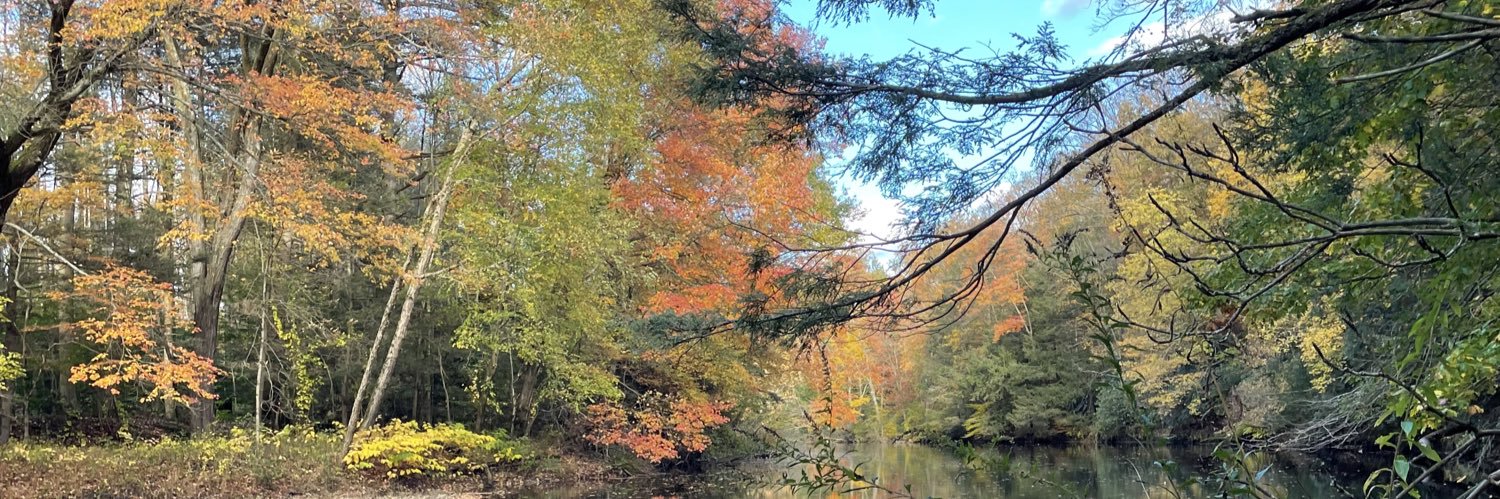 riverunsblue's profile banner image