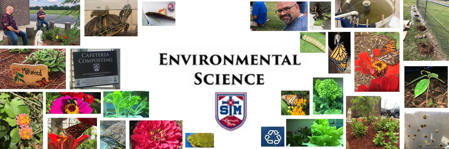STM Env Science banner