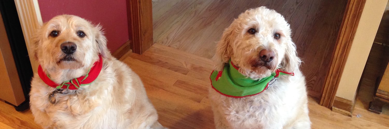 Sarah Donahue banner