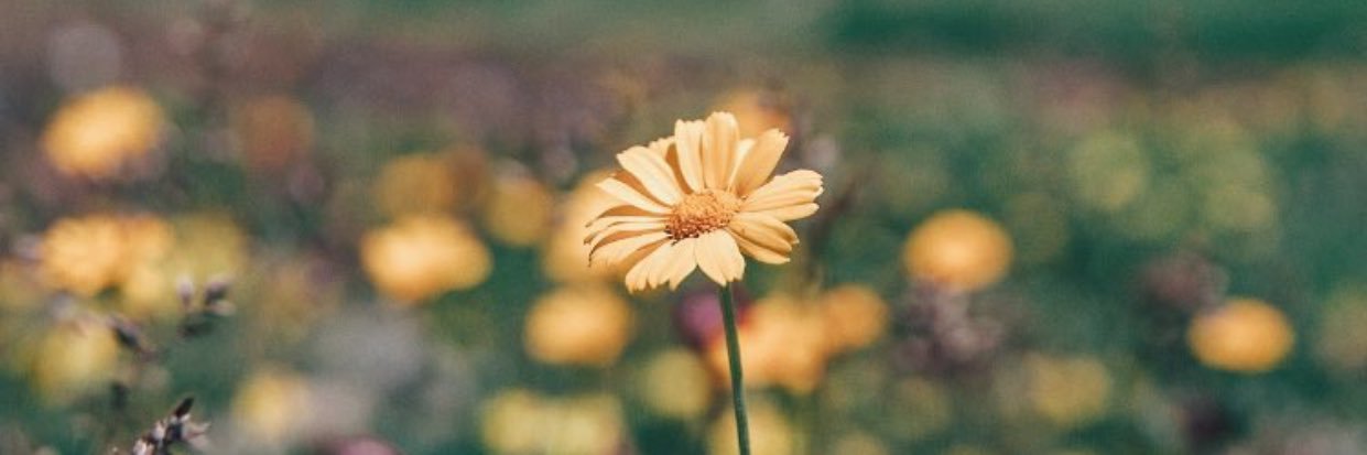 ilknurtel's profile banner image
