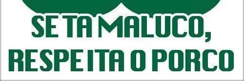 zoiolindo's profile banner image