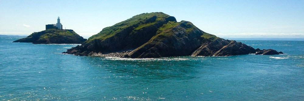 Norman Normal #YourParty #Green #PlaidCymru banner