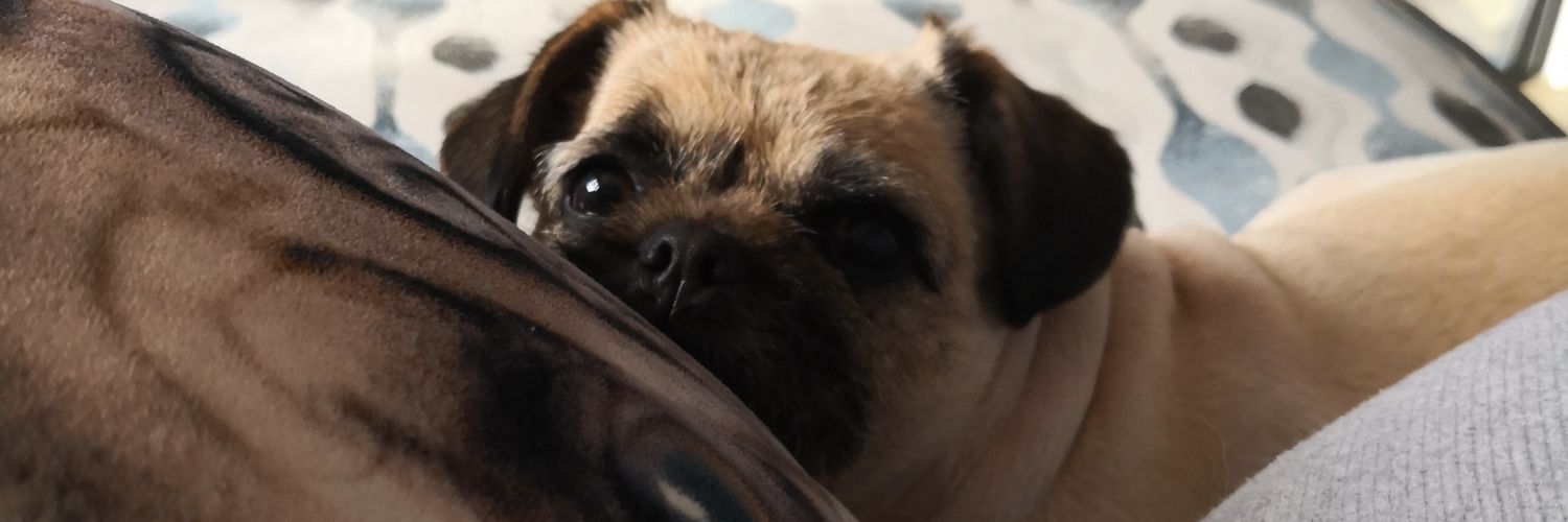 Just_Allie's profile banner image