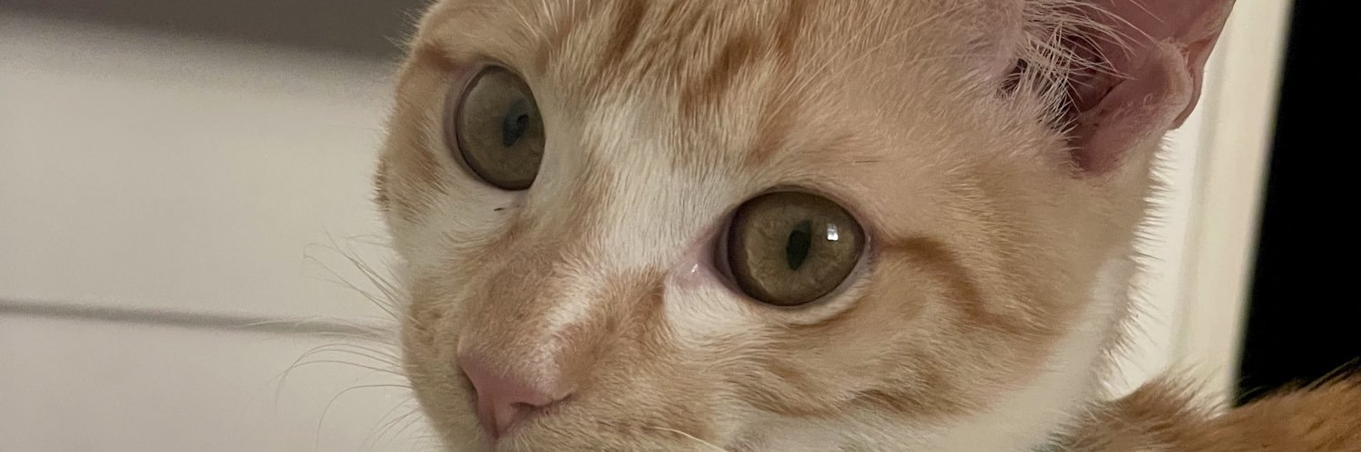 mironduds's profile banner image