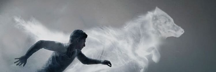 duncan22bat's profile banner image