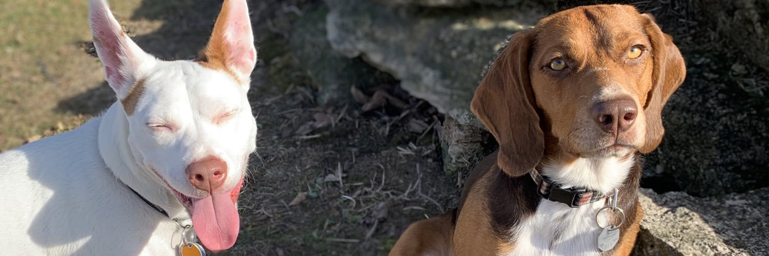 MitchellLBille's profile banner image