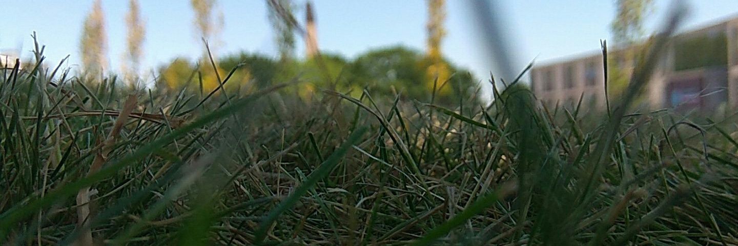 bilbobaggginz's profile banner image