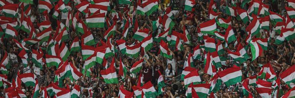 FluminenseFC Profile Banner