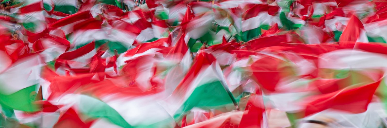Fluminense F.C. banner