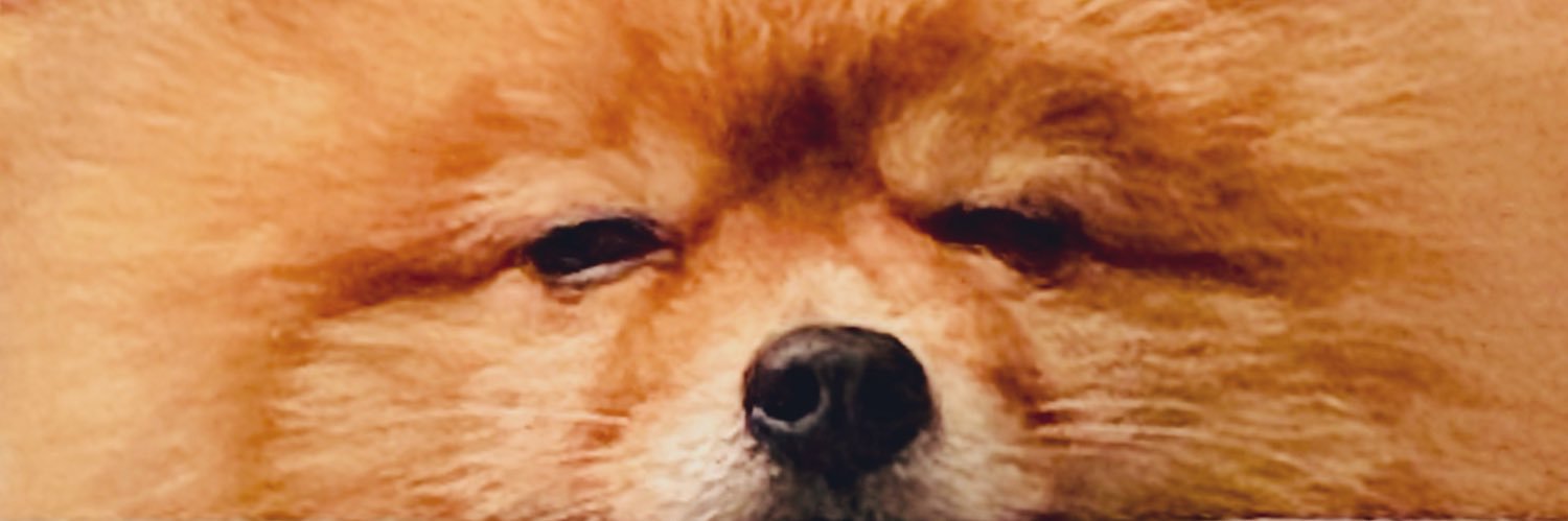 ialemmor360's profile banner image