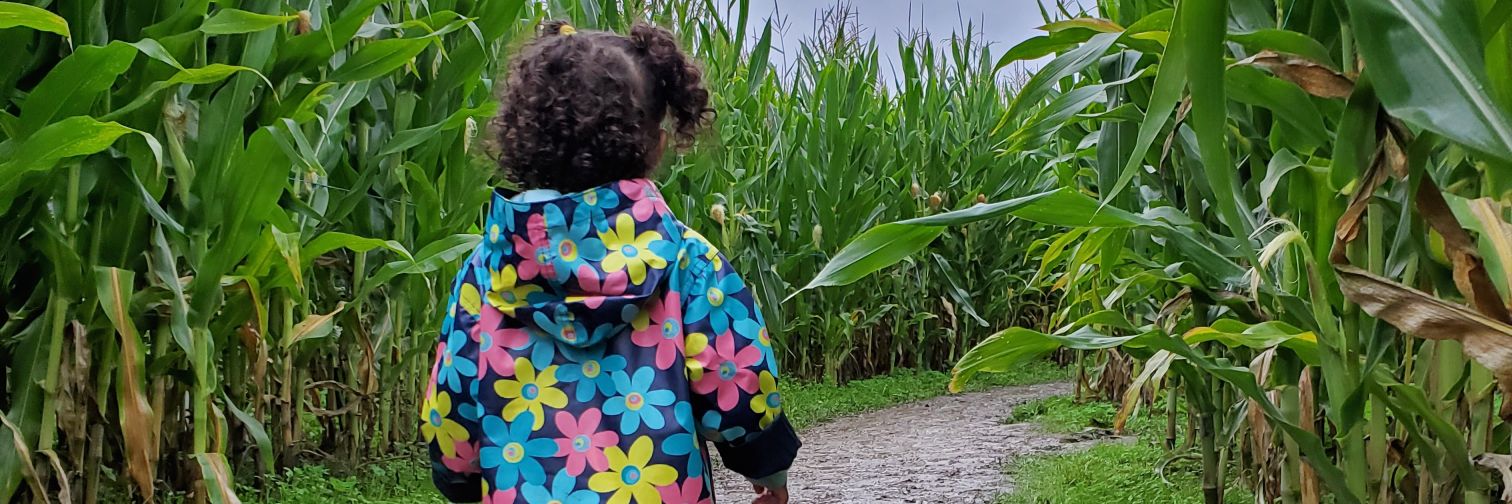 lanibean33's profile banner image