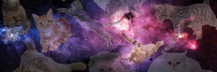 AleeynKay's profile banner image