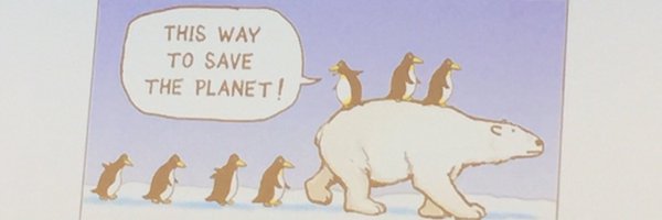 lmrognerud Profile Banner