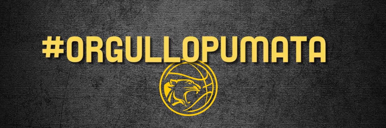 C.Baloncesto Pumarín banner