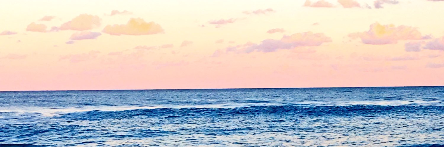 RRbaranowski's profile banner image