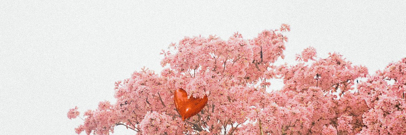 cj16__'s profile banner image