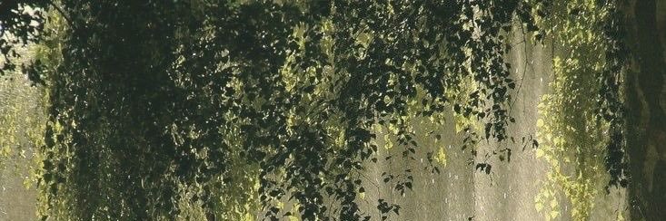 ThatWidowsSis's profile banner image