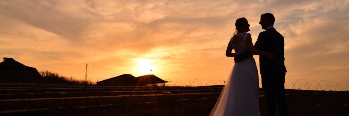 ShaySg's profile banner image