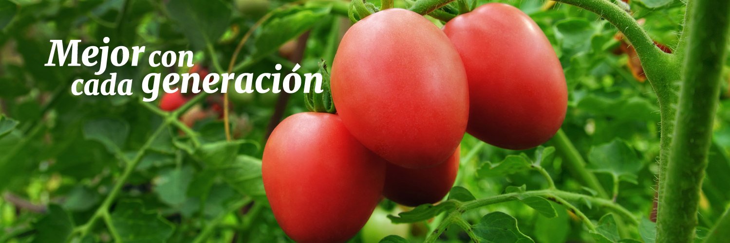 SeminisMX's profile banner image