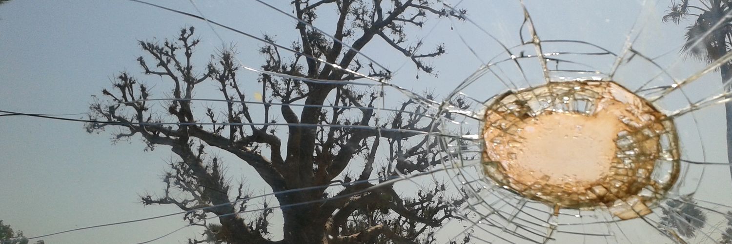 Mariecasadebaig's profile banner image
