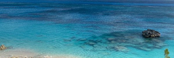 yvonnedc Profile Banner