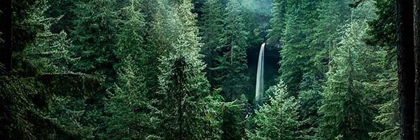 GenkiKlaus's profile banner image