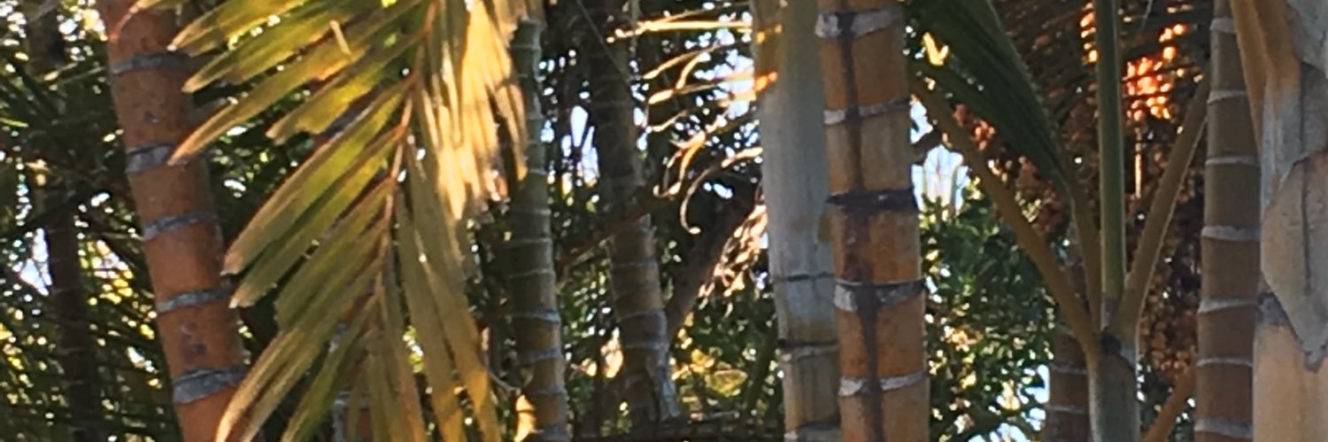 kihough's profile banner image