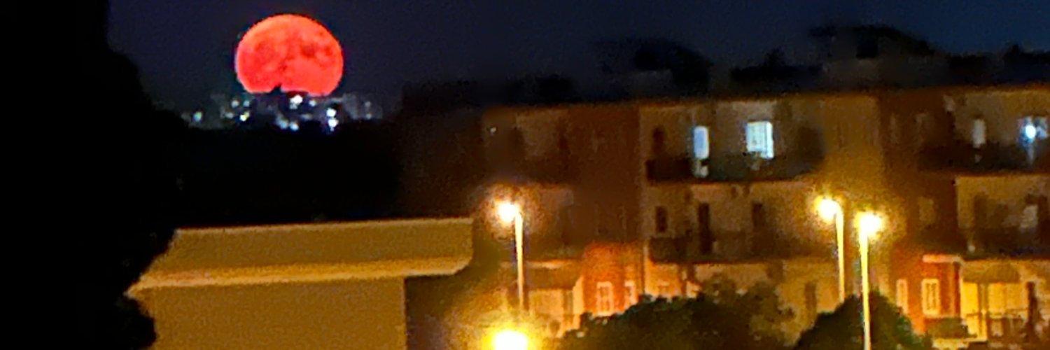 TeodCamilli's profile banner image