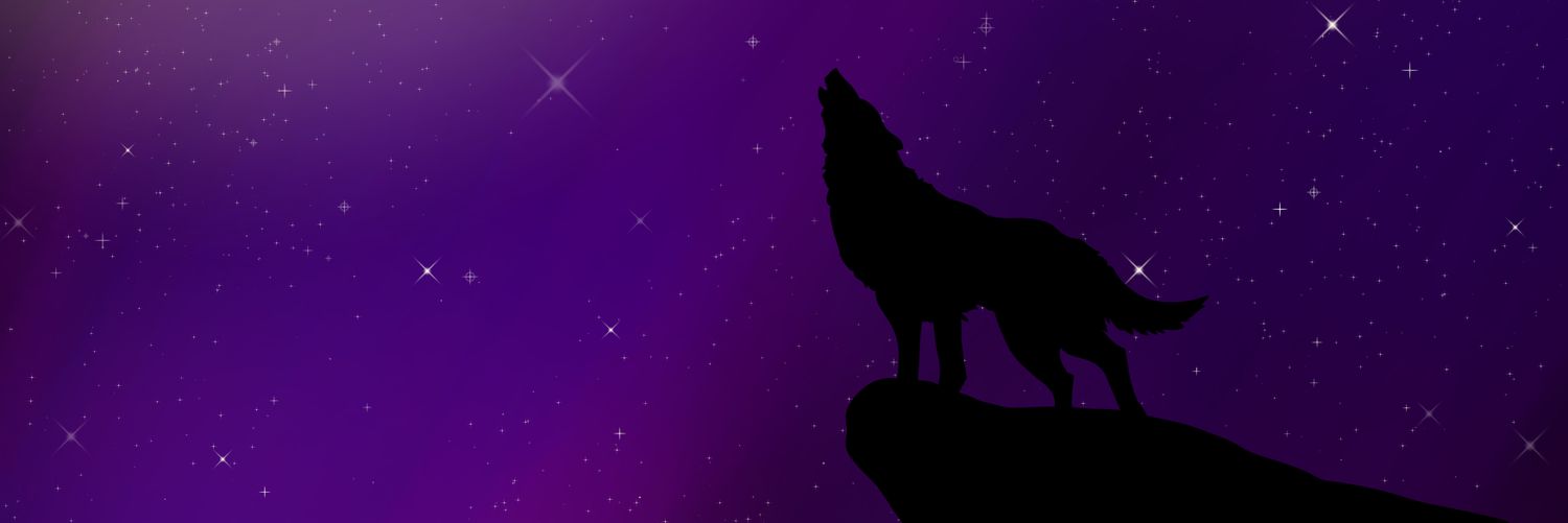 xSnowstream's profile banner image