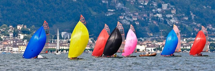 International 29er banner