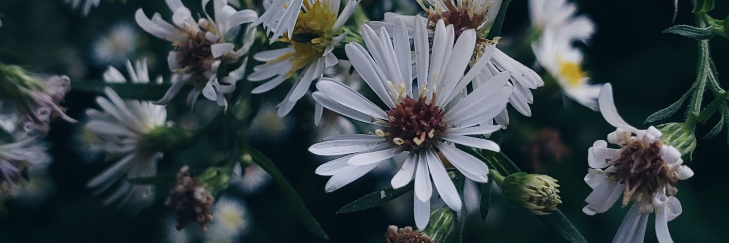 AshleySloggett's profile banner image
