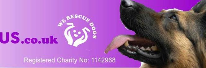 K9focusRescue's profile banner image