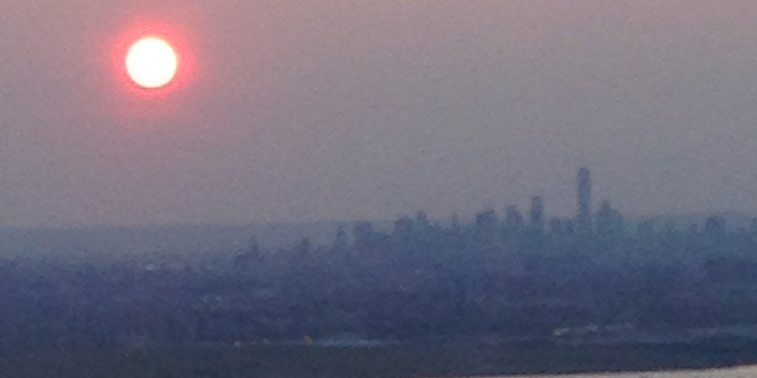 david wheldon banner