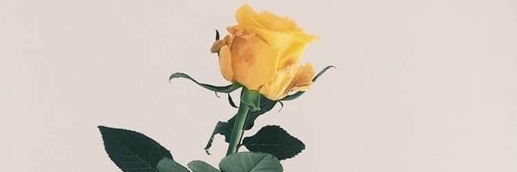 krisette_15's profile banner image