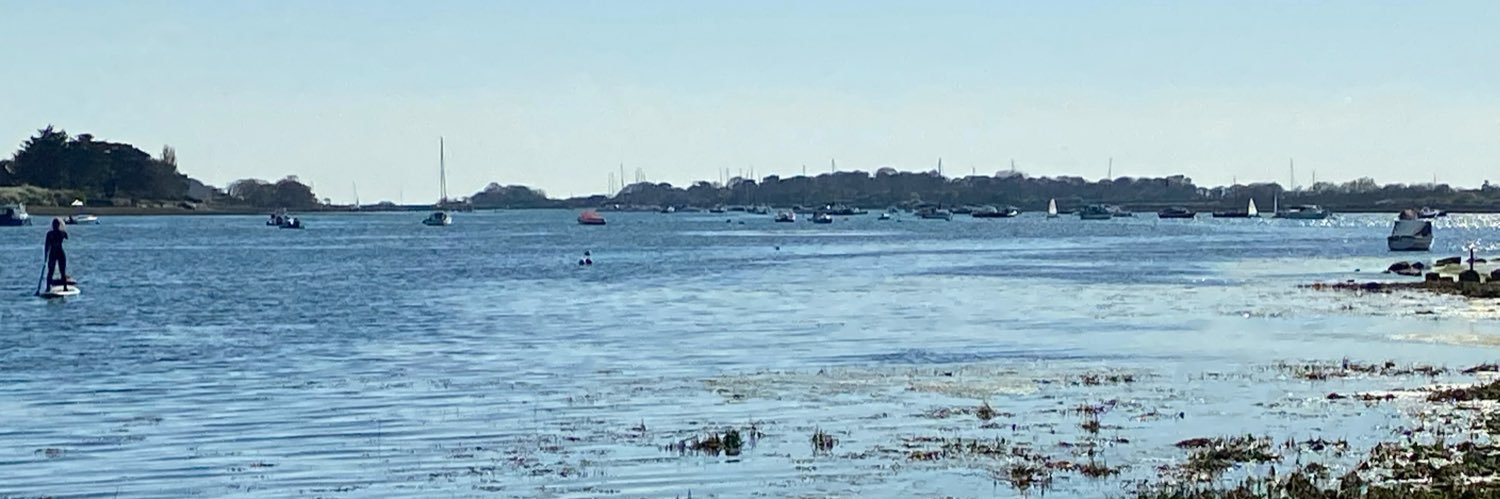 Alison Challenger banner