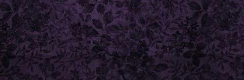 inaripocket's profile banner image