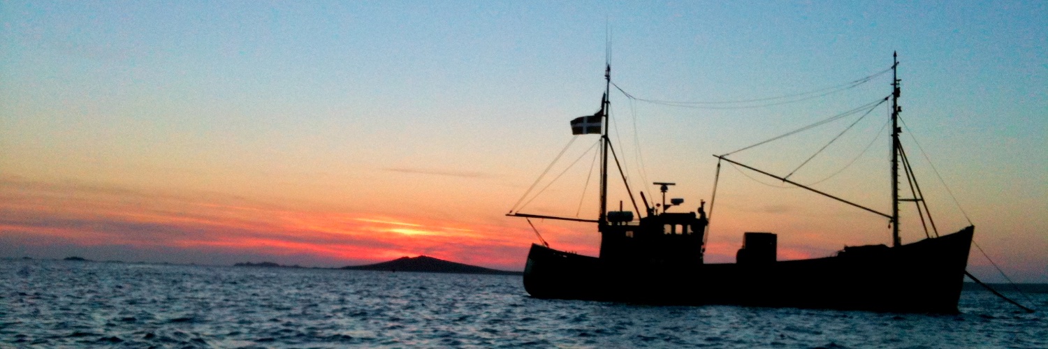 Always_Cornwall's profile banner image