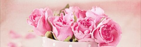HoyerMarlene's profile banner image