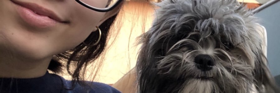 voidleslie's profile banner image