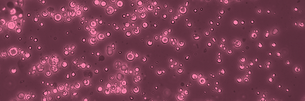 AJ_Twigger Profile Banner