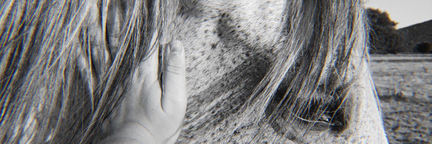 alexbastantee's profile banner image