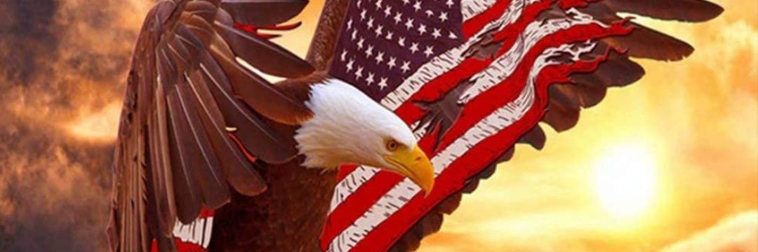 TweetDebbie's profile banner image