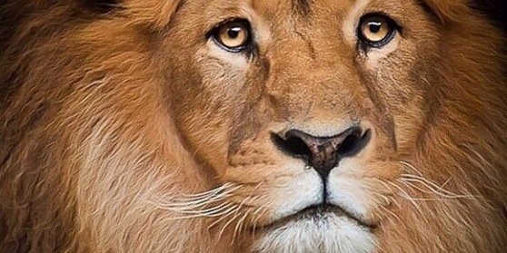 Sportsmk's profile banner image