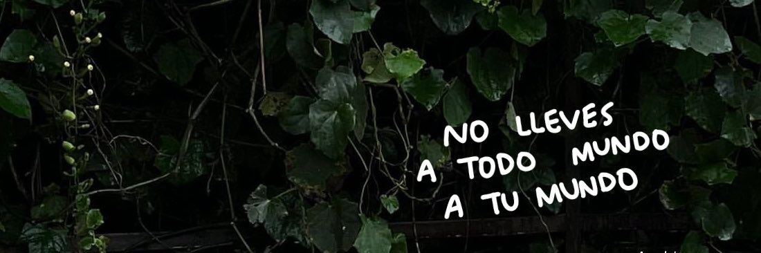 CalinRdz's profile banner image