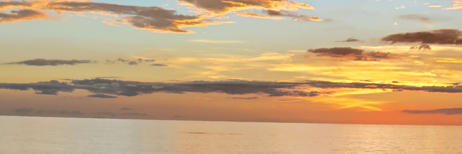 xR4D14TIONx's profile banner image